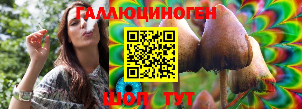 купить закладку  Вход с VPN  Псилоцибиновые грибы мицелий  Топки  Галлюциногенные грибы прущие грибы 